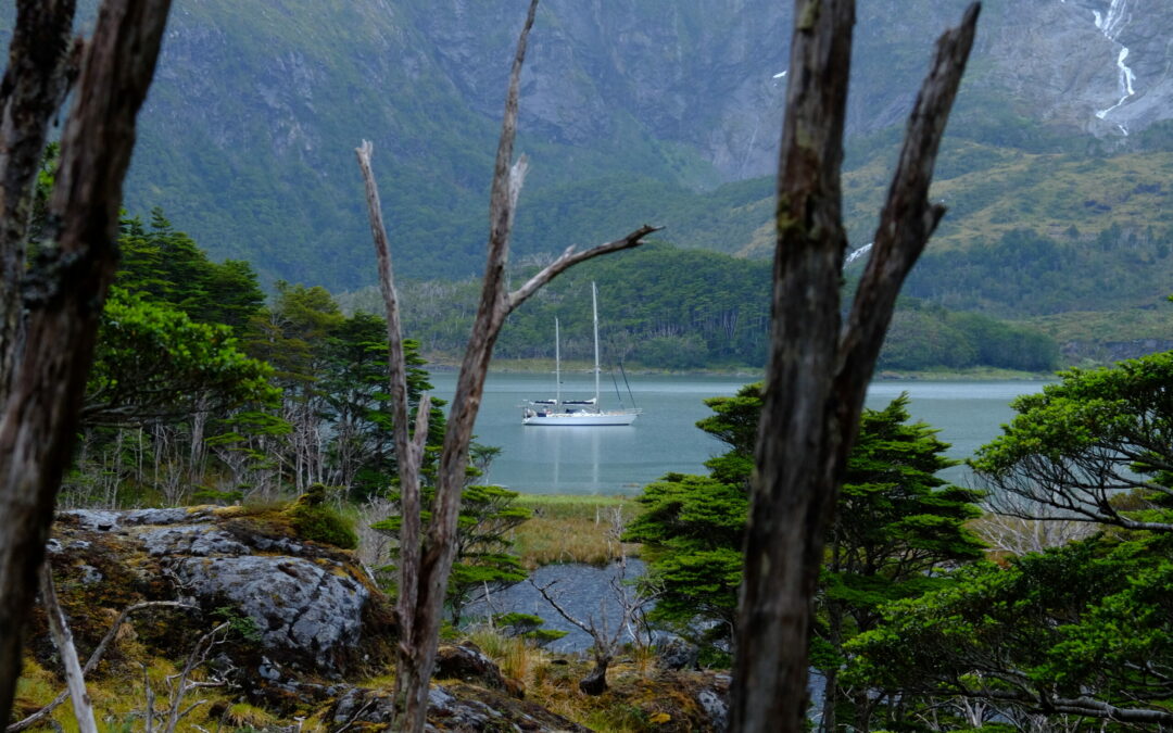 Réserve de biosphère du Cap Horn : le refuge subantarctique du bout du monde